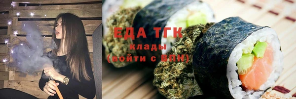 хмурый Щигры
