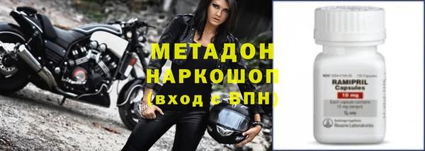 сатива Коряжма
