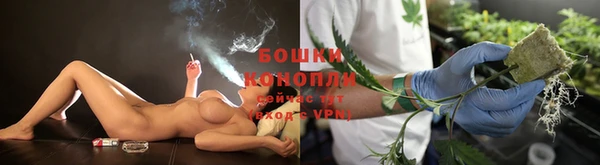 сатива Коряжма