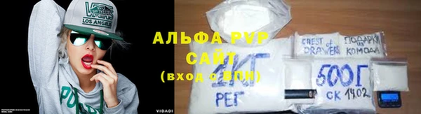 сатива Коряжма