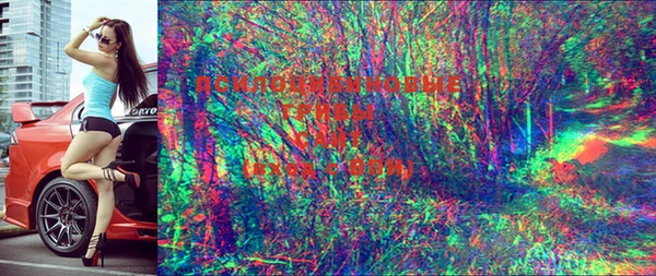 дживик Корсаков