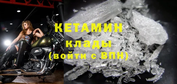сатива Коряжма
