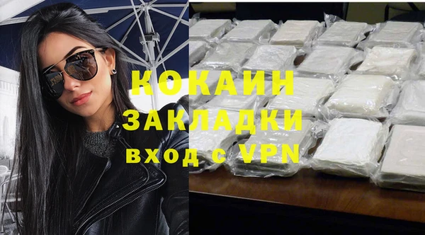 дмт Костерёво