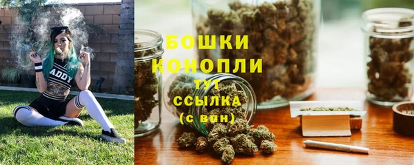 сатива Коряжма