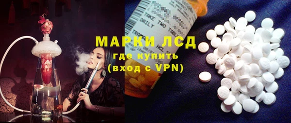 дживик Корсаков