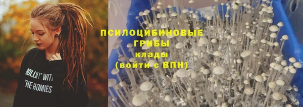 сатива Коряжма