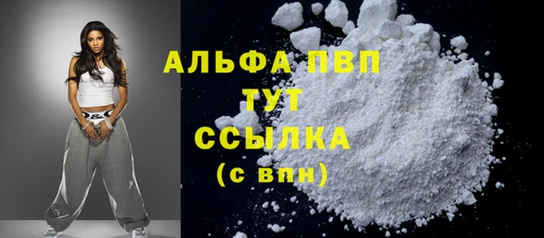 дживик Корсаков