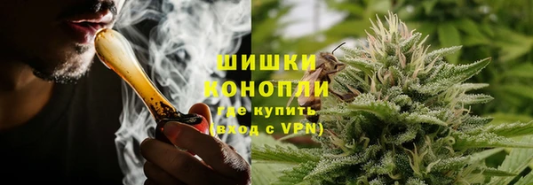 сатива Коряжма