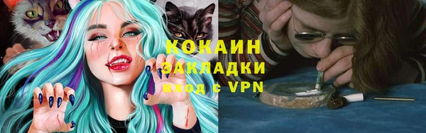 сатива Коряжма