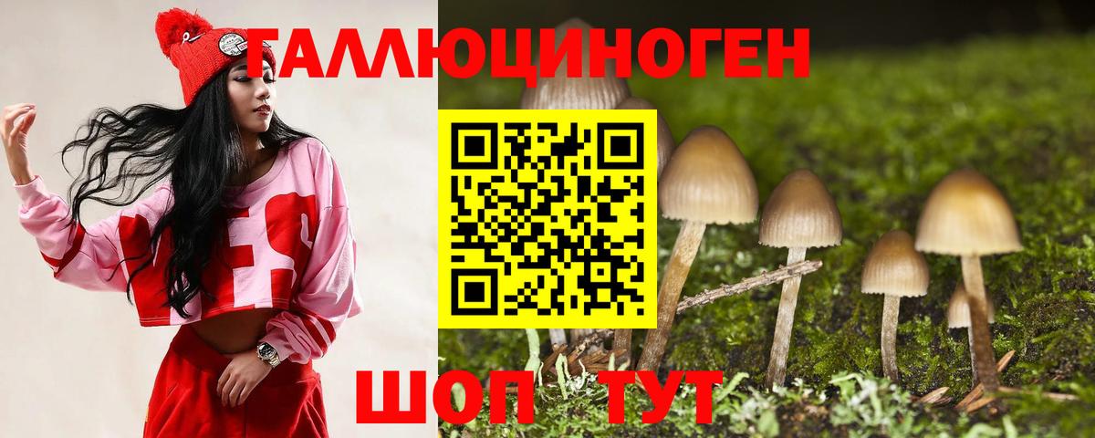 Псилоцибиновые грибы мухоморы  Вход с VPN  Шали 