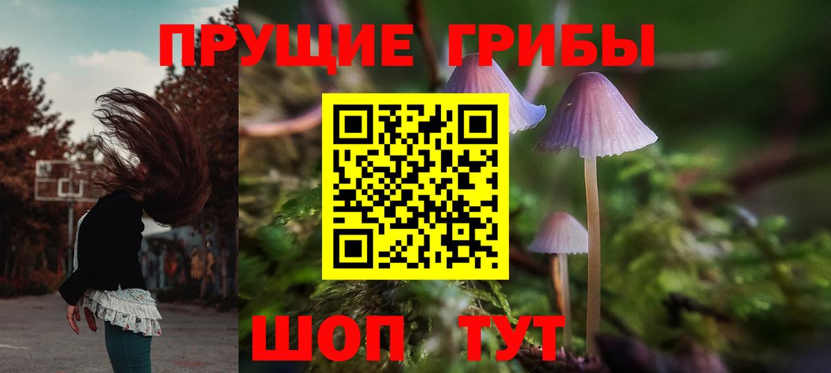 Галлюциногенные грибы Psilocybine cubensis Шали